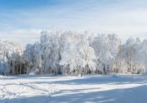 Pablo BAILLEUL - Bailleul